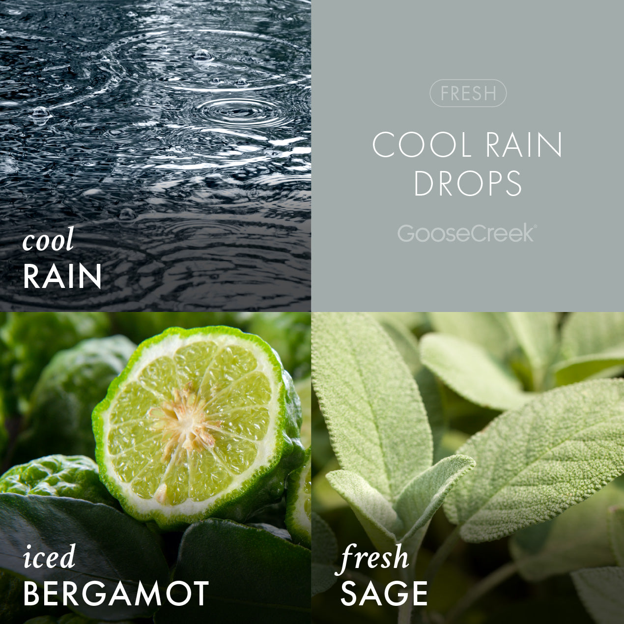 Cool Rain Drops 3-Wick Candle