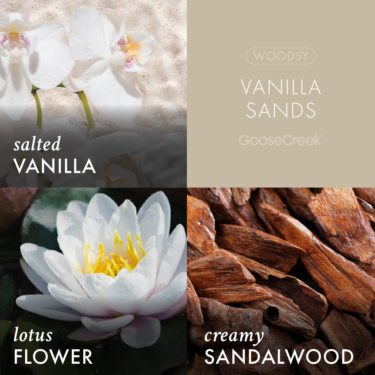 Vanilla Sands Plug-in Refill